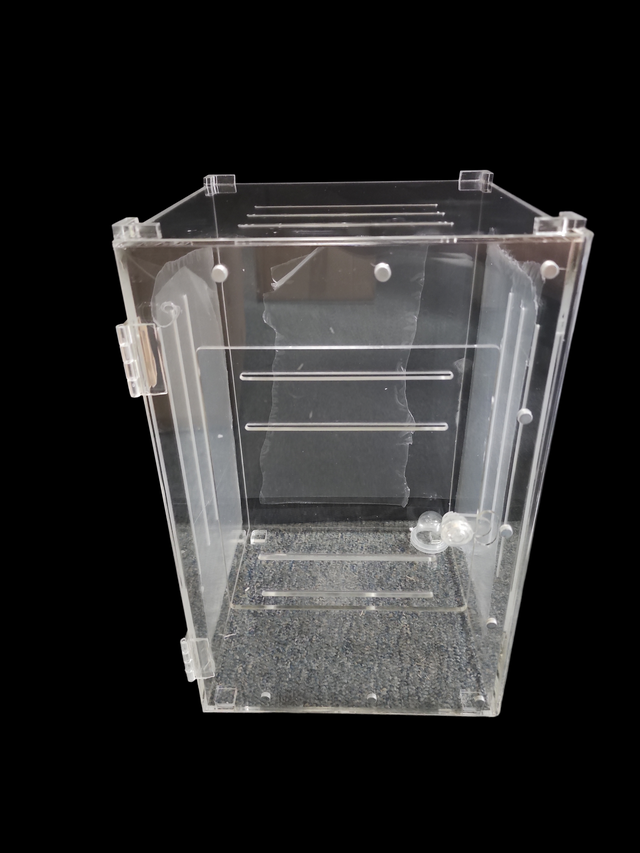 Enclosures, Lids & Accessories | Cold Blooded & Bizarre