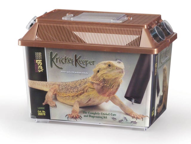 Enclosures, Lids & Accessories | Cold Blooded & Bizarre